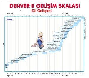 Denver Dil Gelişim Skalası çocuk gelişimi